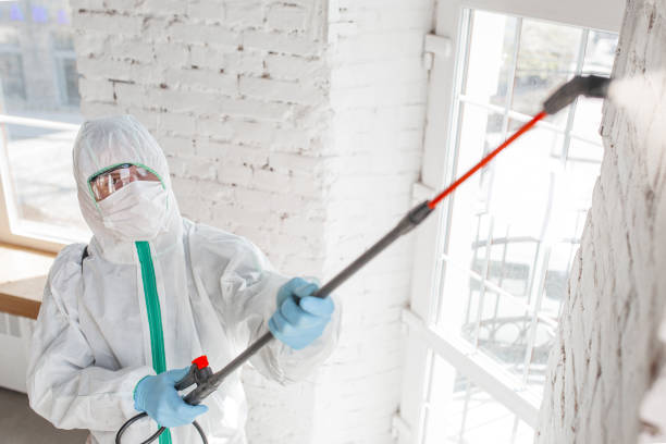 Best Mold-Related Health Consultation  in Denmark, SC