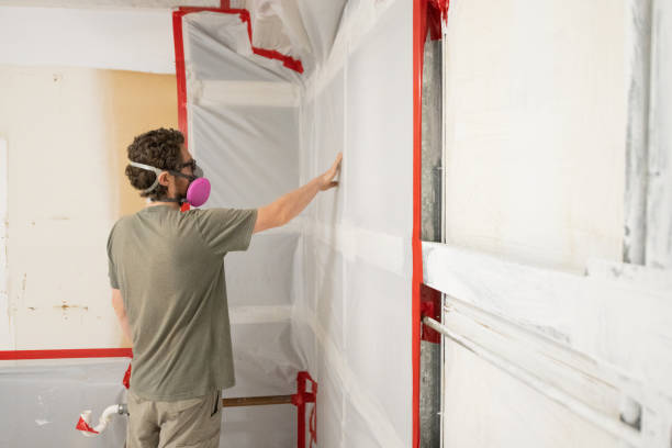 Biohazard Mold Removal in Denmark, SC
