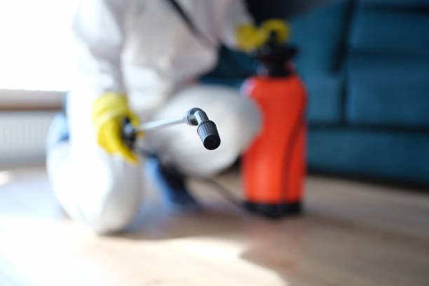 Best Post-Construction Mold Inspection  in Denmark, SC