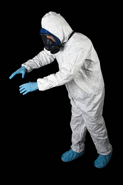 Best Black Mold Removal  in Denmark, SC