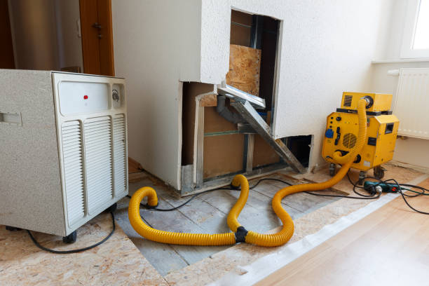 Best Commercial Mold Inspection  in Denmark, SC